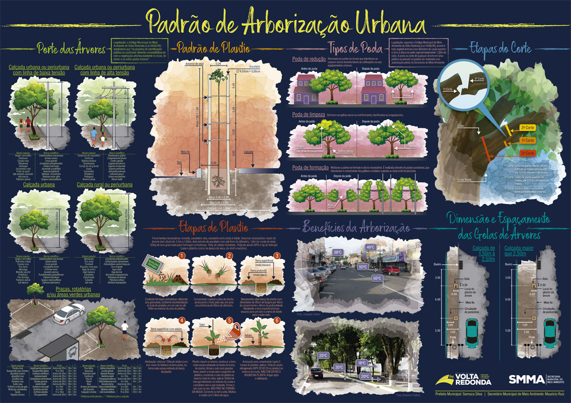 Cartaz sobre o Padrão de Arborização Urbana da Cidade de Volta Redonda