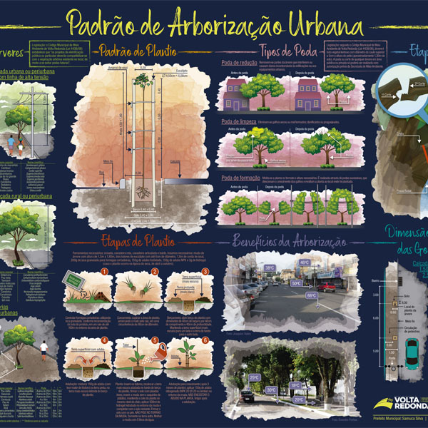 Cartaz sobre Padrão de Arborização Urbana